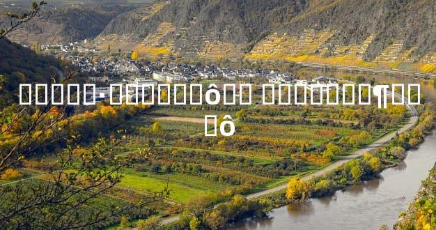 ��ָ��·������ô�� �ճ�ϰ��͸¶��ʲô